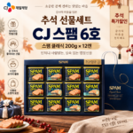 추석 특가할인｜CJ 스팸 6C호 선물세트 12캔, 클래식·마일드 실속 구성 대표 이미지