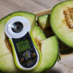 고당도 메론 선물세트 8kg_2