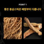 고려홍삼정 어니스트 365 홍삼스틱 100포_3