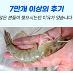 국산 흰다리새우 1kg 왕새우 생새우 활새우_9