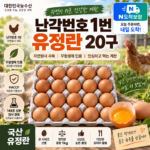 난각번호 1번 유정란 20구｜자연방사·무항생제로 고른 데일리 계란 대표 이미지