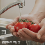 살림백서 구연산 담은 주방세제 알로에베라향_2