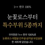 우미헌 한우선물세트 1++ 구이용 최상급 투뿔 1kg _10
