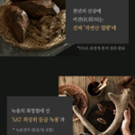 침향환 공진단 80정_3