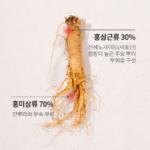한삼인 홍삼정 진스틱 100p_10