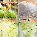강원곳간 홍천 고랭지 절임배추 20kg｜김장 날짜에 맞춰 받아보는 바회마을 절임배추 상품 이미지 3