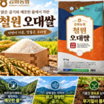 김화농협 두루웰 철원오대쌀 10kg｜GAP 인증 2026년산 햅쌀, 상등급 백미의 특징 상품 이미지 2