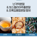 닥터린 콘드로이친 1200 맥스｜관절 건강 관리, 120정 구성의 장단점은? 상품 이미지 3