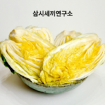삼시세끼연구소 괴산 고랭지 절임배추｜3중 세척으로 김장 준비가 한결 간편하게 상품 이미지 1