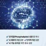 서울대위바이옴 두뇌엔 닥터PS 70｜포스파티딜세린, 부모님 건강관리용으로 어떨까? 상품 이미지 3