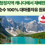 일양약품 대마종자유 맥스｜냉압착 100% 대마종자유, 90캡슐 구성의 장단점 상품 이미지 6